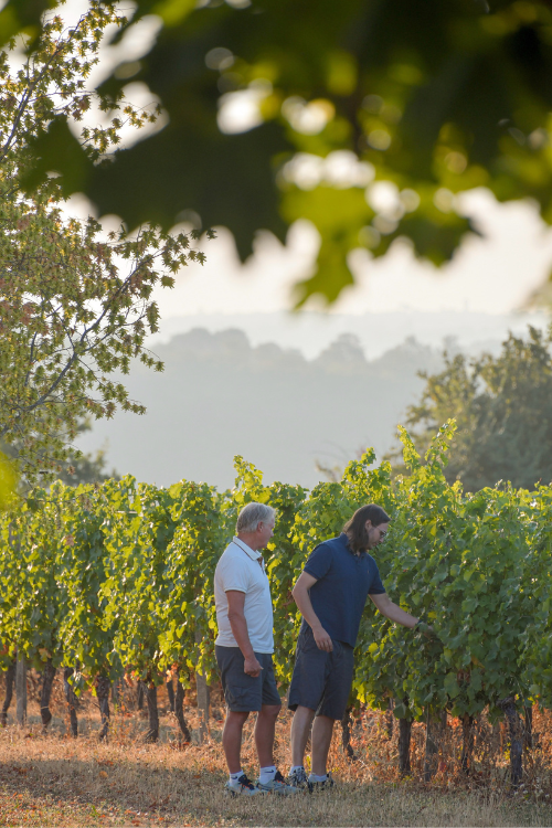 Les Vins de Clément et Daniel Schutz